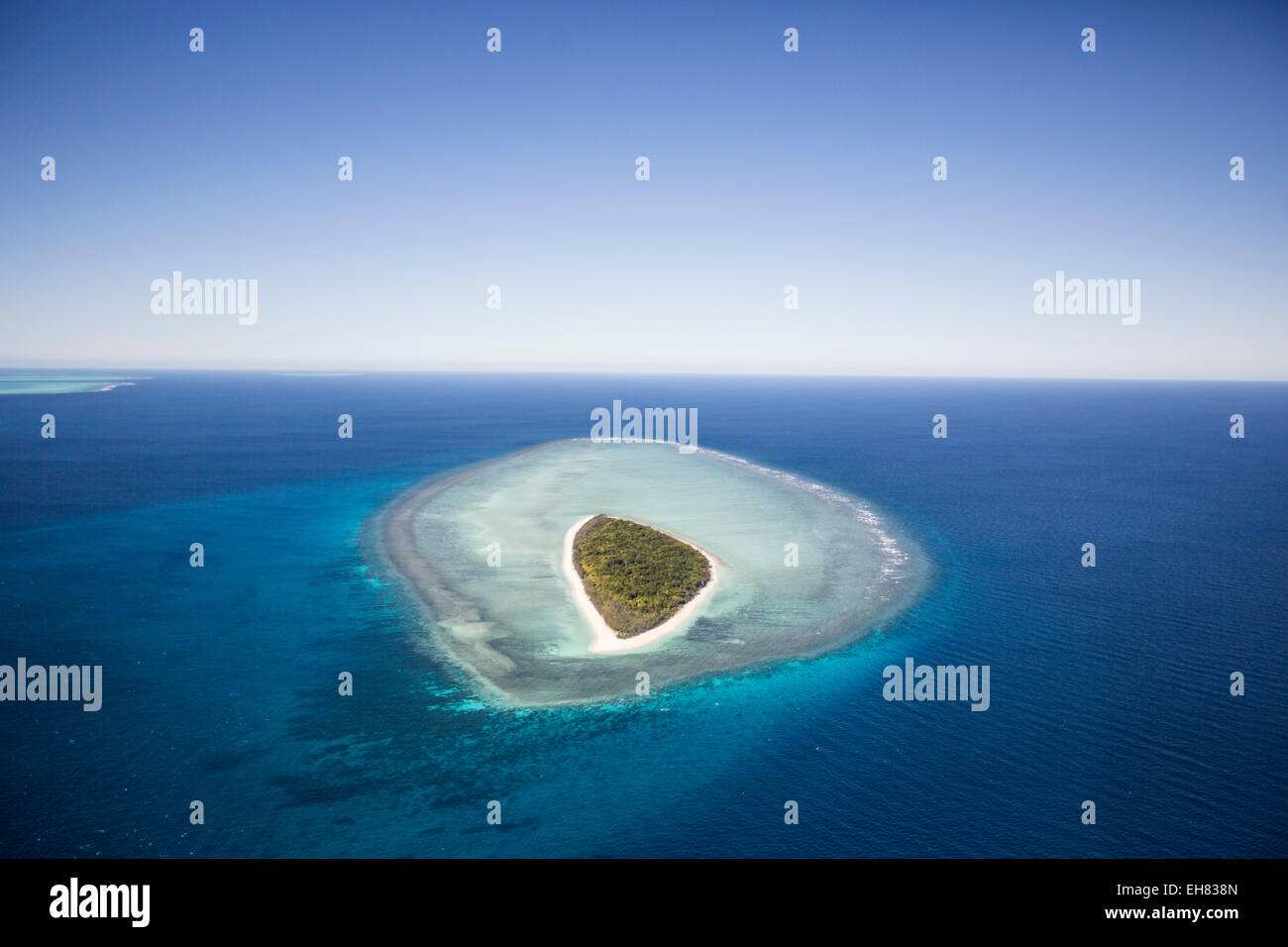 Testa del montante, isola della Grande Barriera Corallina, Sito Patrimonio Mondiale dell'UNESCO, Queensland, Australia Pacific Foto Stock