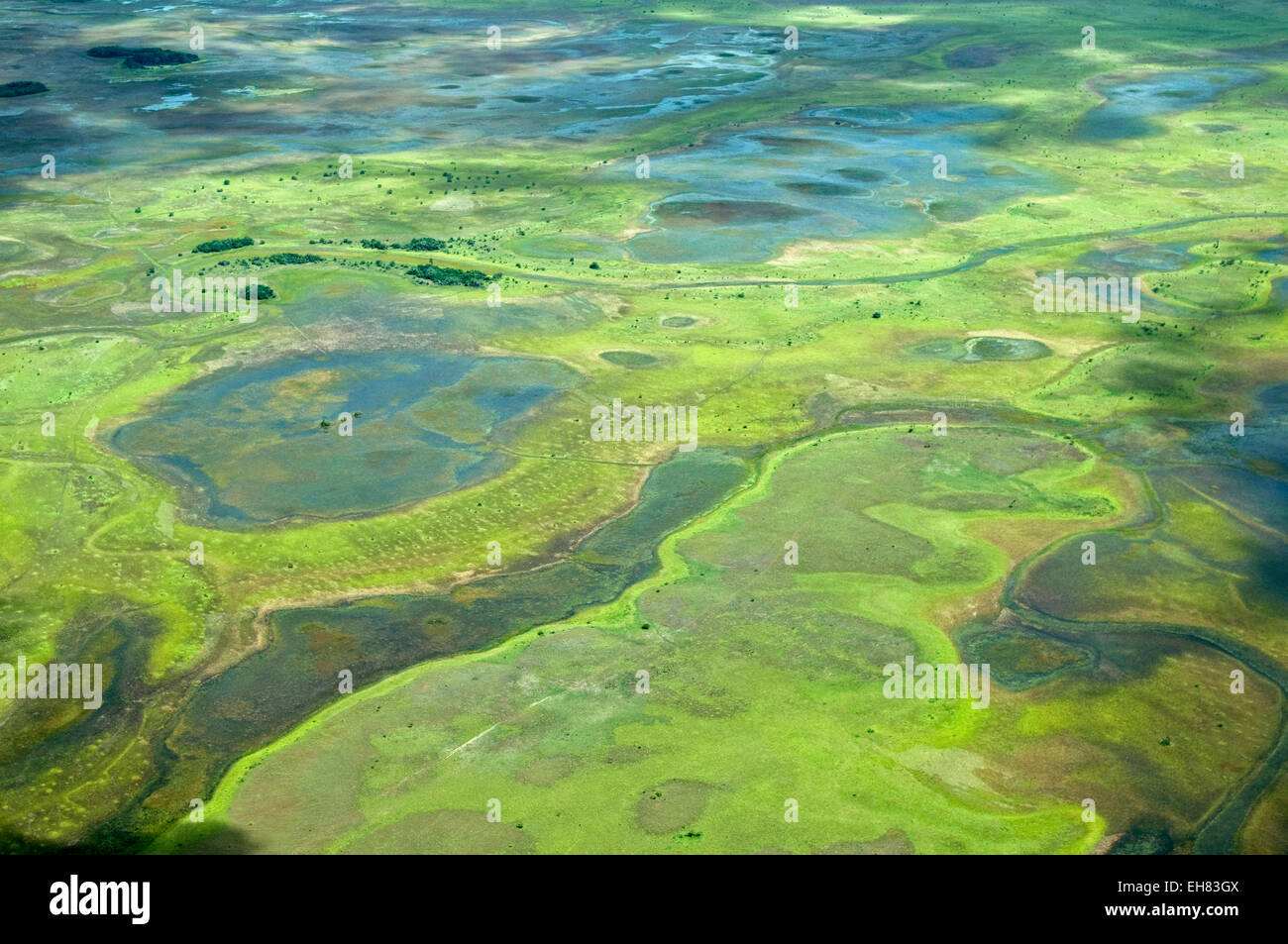 Vista aerea di aree inondate di Rupununi, Guyana, Sud America Foto Stock