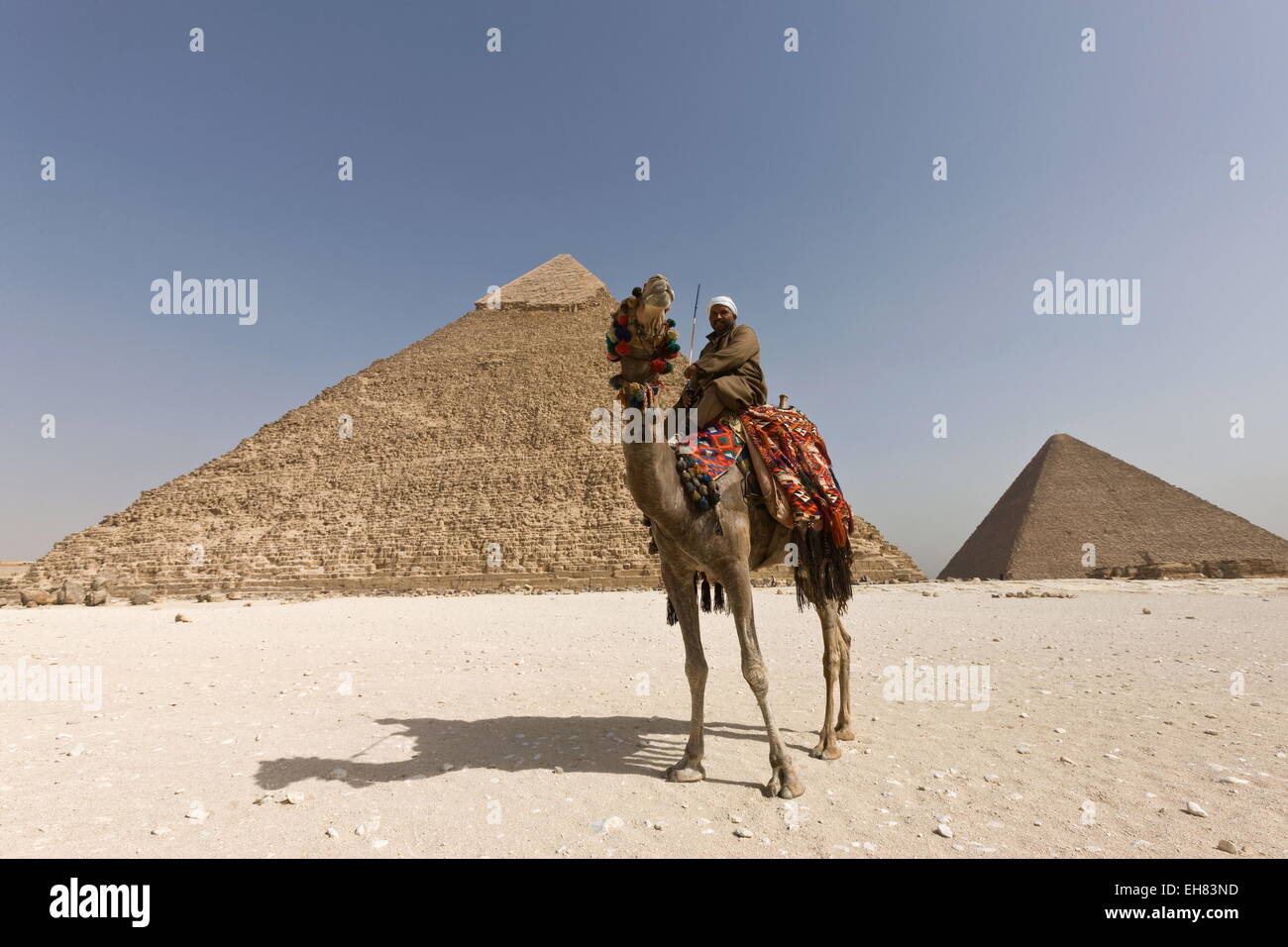 Uomo in abito tradizionale su un cammello di fronte la piramide di Khafre in Giza, UNESCO, vicino a Il Cairo, Egitto, Africa Settentrionale, Africa Foto Stock