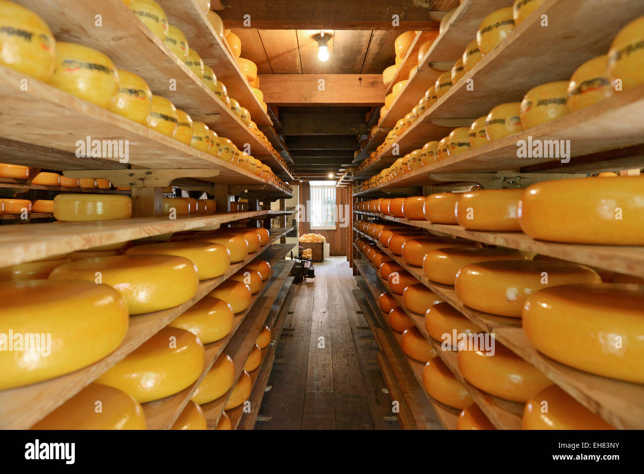 Magazzino di formaggio, Zuiderzee open air Museum, il lago Ijssel, Enkhuizen, North Holland, Paesi Bassi, Europa Foto Stock