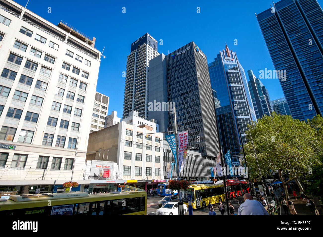 George Street, la strada principale che porta direttamente nel centro di Sydney, Australia; Town Hall Square; edifici alti; Sydney CBD; centro di Sydney; cityscape Foto Stock