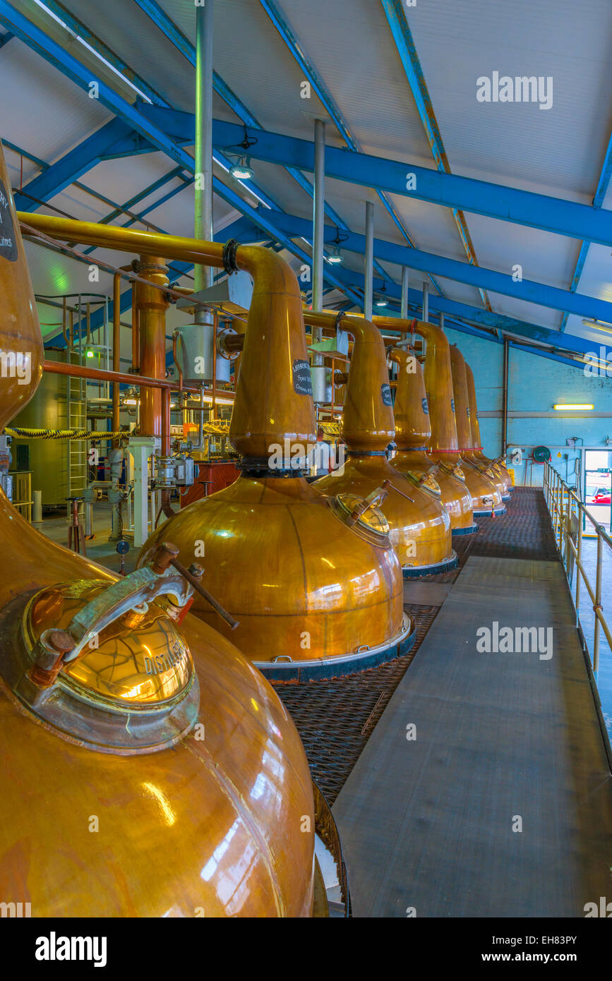 Pentola di Rame alambicchi, Laphroaig distilleria di whisky, Islay, Argyll and Bute, Scotland, Regno Unito, Europa Foto Stock