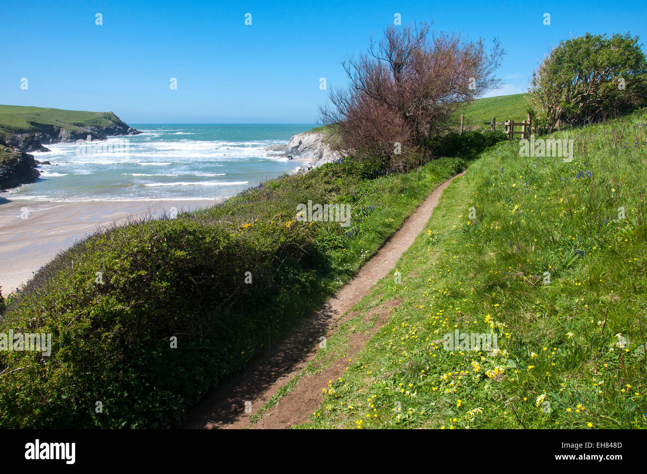 Polly scherzo/Porth scherzo spiaggia vicino a Newquay in Cornovaglia. Una soleggiata giornata di primavera con il sentiero costiero che conduce ad un montante verticale. Foto Stock