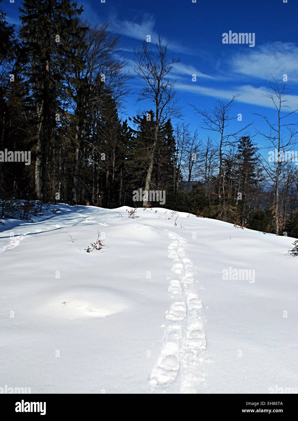 Inverno foresta con bella nuvole e passaggi con racchette da neve su Moravskoslezske Beskydy vicino Cubonov hill Foto Stock