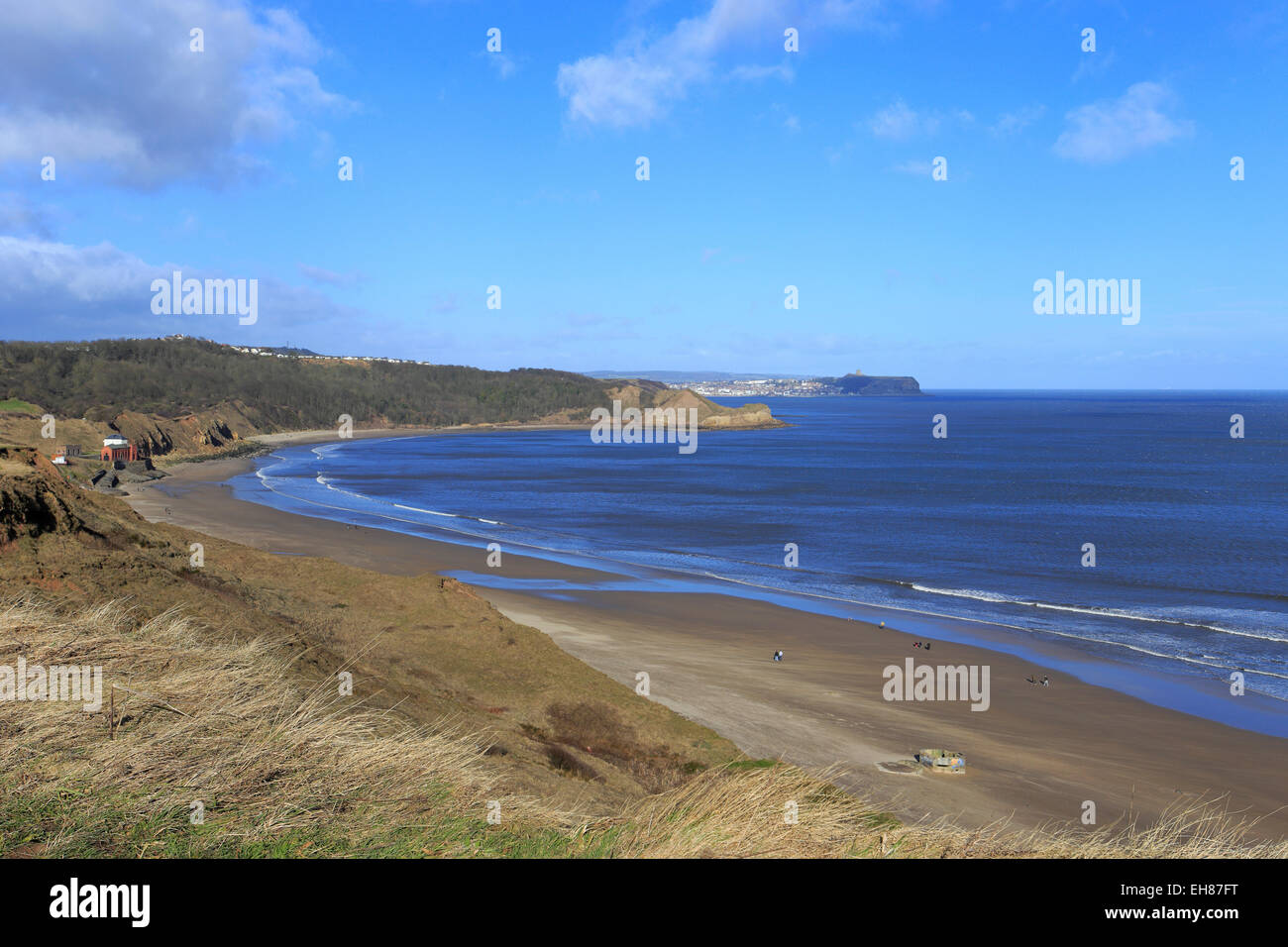 Modo di Cleveland, National Trail sopra Cayton Bay, Scarborough, North Yorkshire, Inghilterra, Regno Unito. Foto Stock