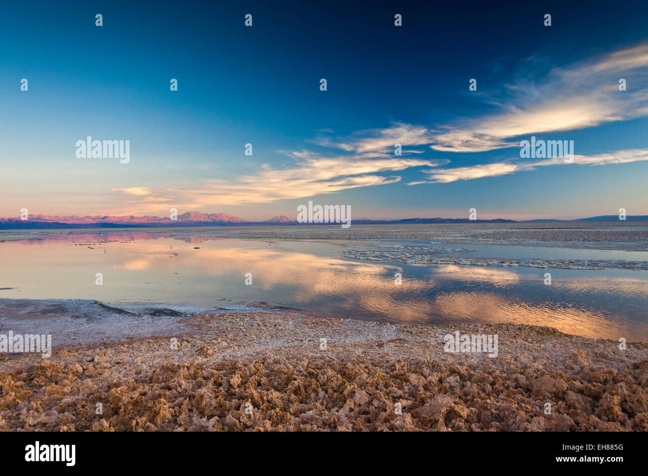 Nuvole rosa che riflette in una piscina a laguna Chaxa nel deserto di Atacama, Cile, Sud America Foto Stock