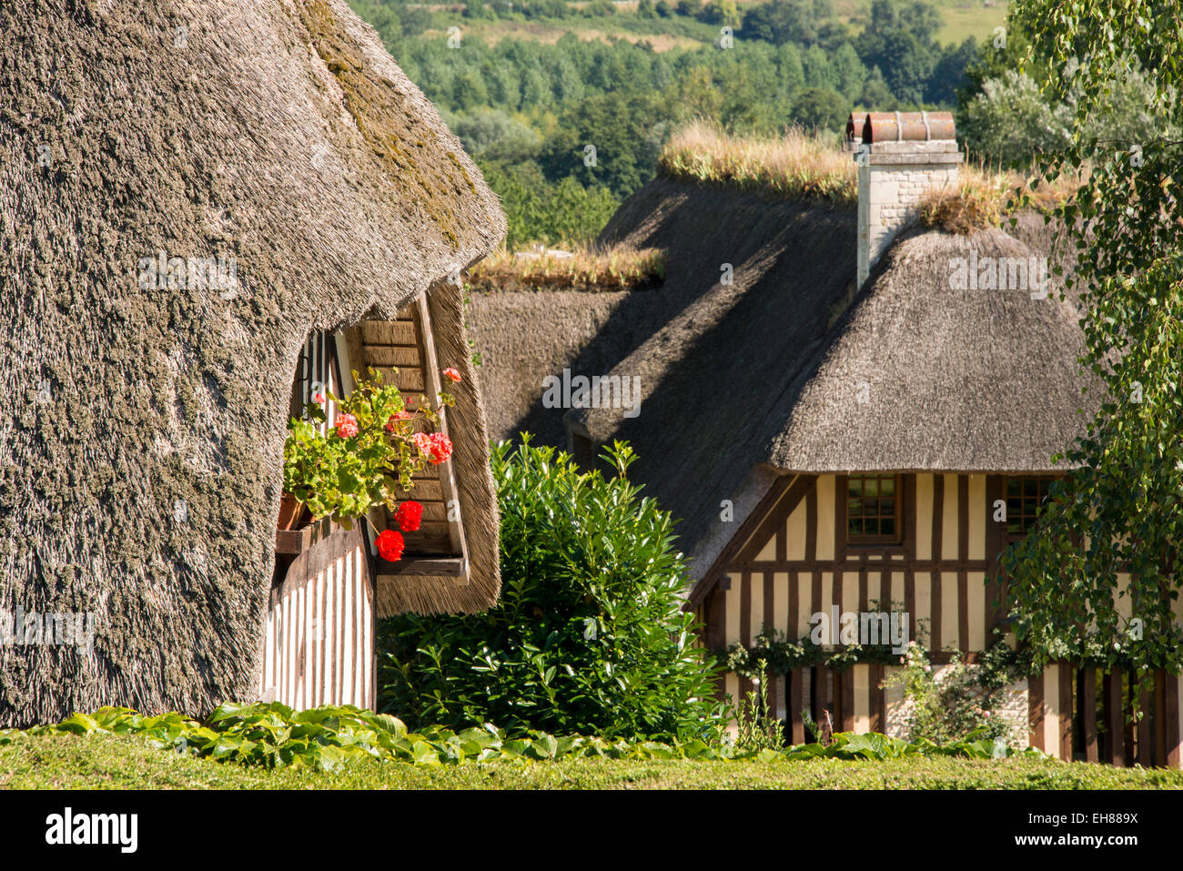 Pierrefitte En Auge, Calvados, Normandia, Francia, Europa Foto Stock