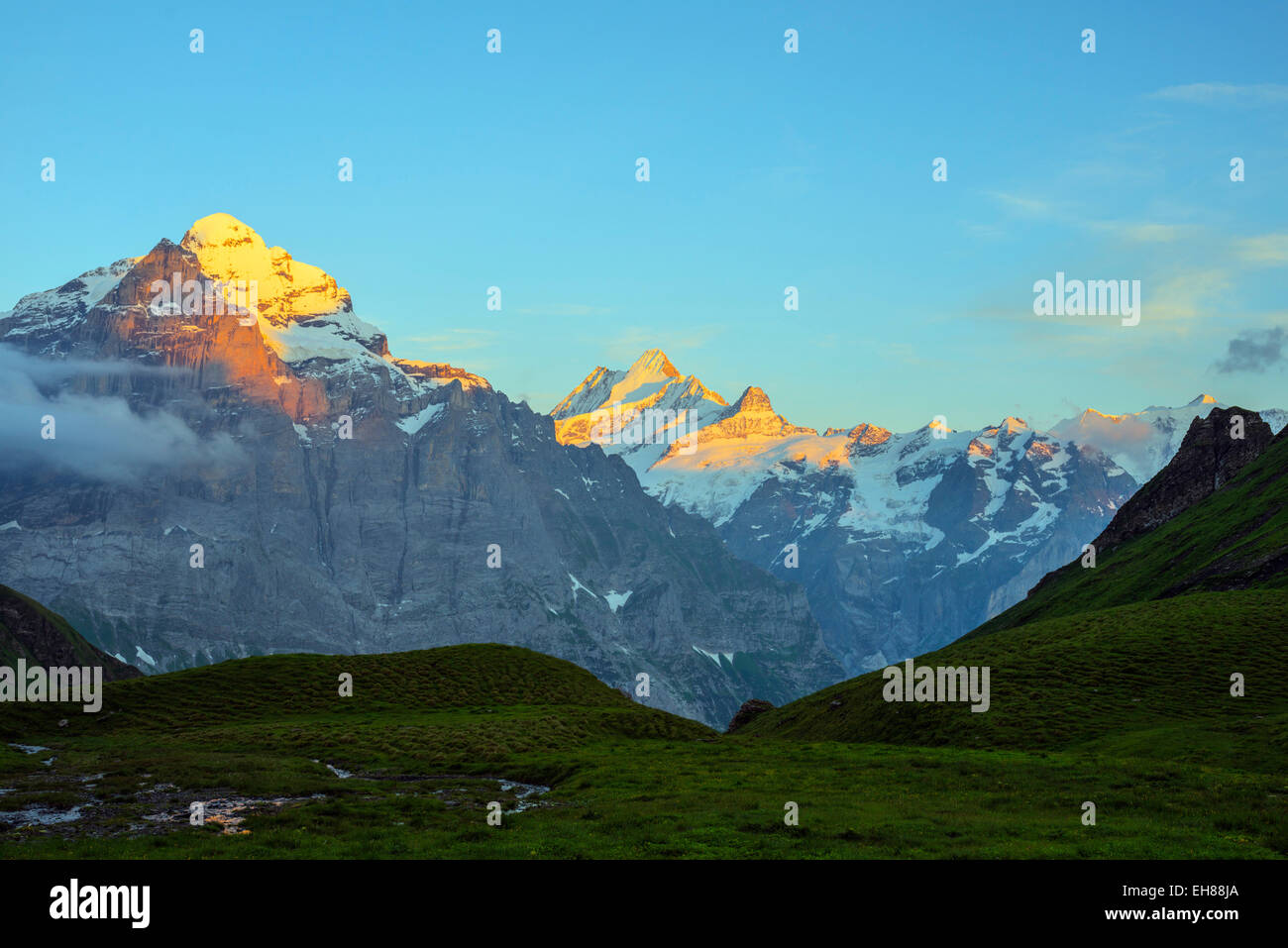 Wetterhorn 3692m, Jungfrau-Aletsch, Sito Patrimonio Mondiale dell'UNESCO, alpi svizzere, Svizzera, Europa Foto Stock