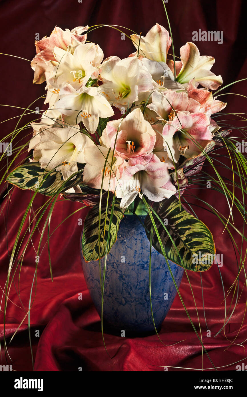 Profumo di gigli in un vaso nella parte anteriore del tessuto rosso Foto Stock