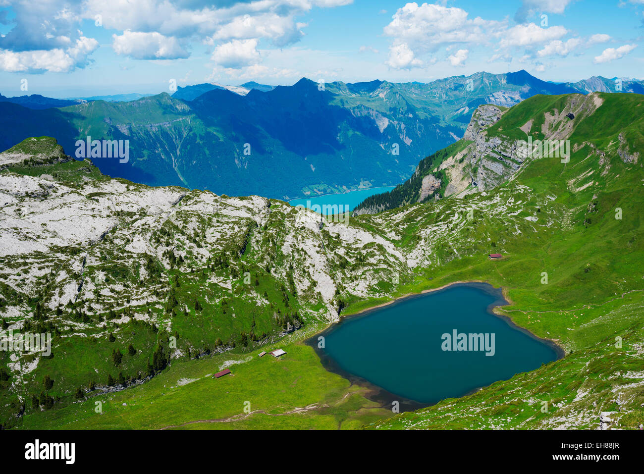 Lago di montagna sopra il lago di Interlaken, Jungfrau-Aletsch, Sito Patrimonio Mondiale dell'UNESCO, alpi svizzere, Svizzera, Europa Foto Stock