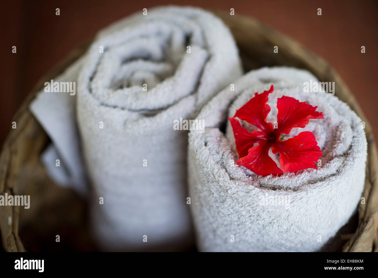 Due laminati asciugamani bianchi in un cestello, rosso fiori di ibisco, Spa ayurvedica, Kerala, India Foto Stock
