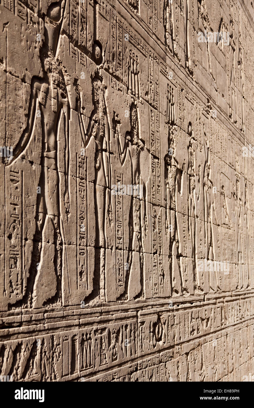Sollievo carving in antico tempio egizio di Edfu, Egitto, Africa Settentrionale, Africa Foto Stock