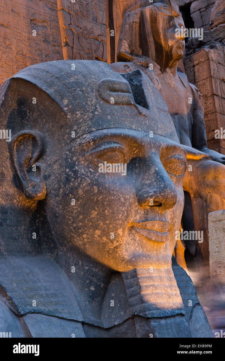 Statua in antichi egizi del Tempio di Luxor di notte, Luxor, Tebe, Sito Patrimonio Mondiale dell'UNESCO, Egitto, Africa Settentrionale, Africa Foto Stock