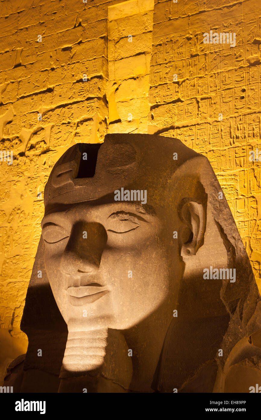 Statua in antichi egizi del Tempio di Luxor di notte, Luxor, Tebe, Sito Patrimonio Mondiale dell'UNESCO, Egitto, Africa Settentrionale, Africa Foto Stock