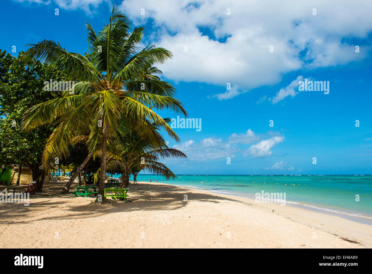Spiaggia di sabbia e palme di Pigeon Point, Tobago Trinidad e Tobago, West Indies, dei Caraibi e America centrale Foto Stock