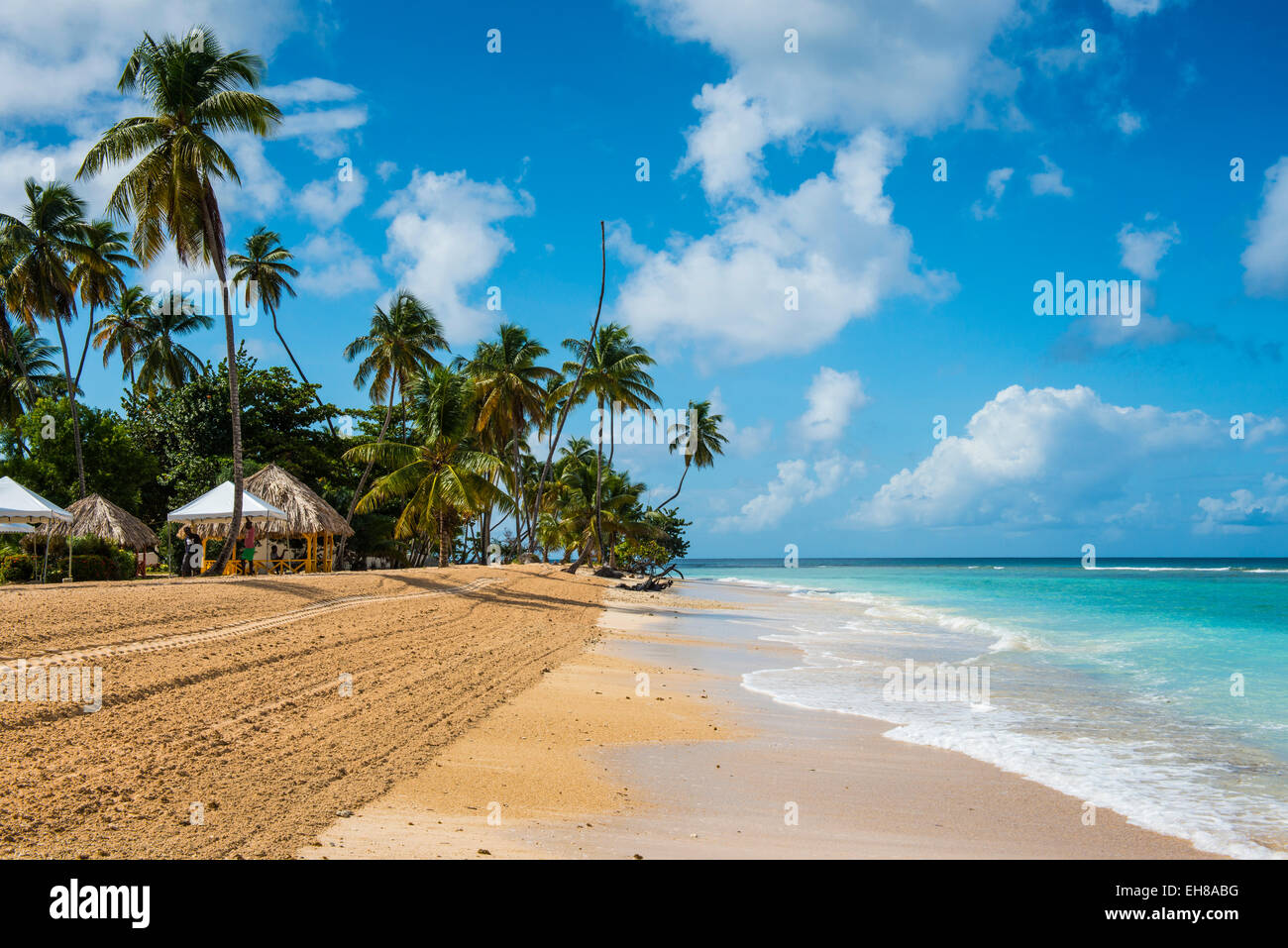 Spiaggia di sabbia e palme di Pigeon Point, Tobago Trinidad e Tobago, West Indies, dei Caraibi e America centrale Foto Stock