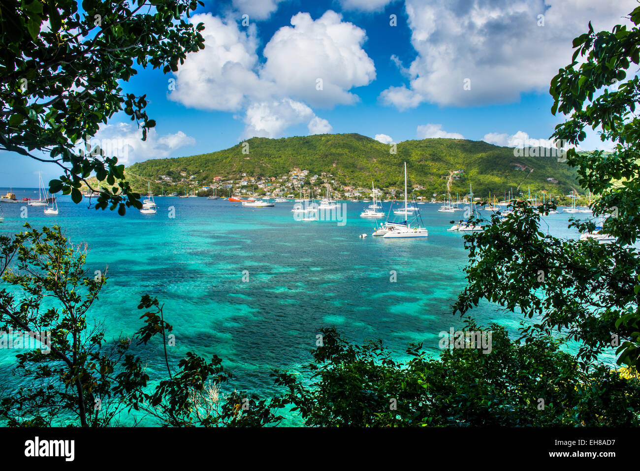 Barche a vela di ancoraggio in Port Elizabeth, Admiralty Bay, Bequia, Grenadine, isole Windward, West Indies, dei Caraibi Foto Stock