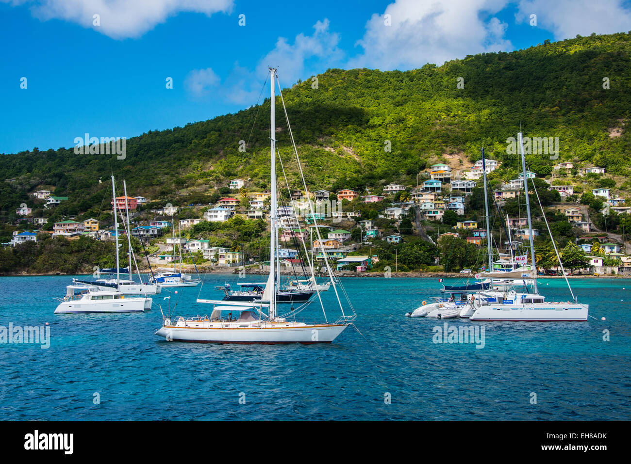 Barche a vela di ancoraggio in Port Elizabeth, Admiralty Bay, Bequia, Grenadine, isole Windward, West Indies, dei Caraibi Foto Stock