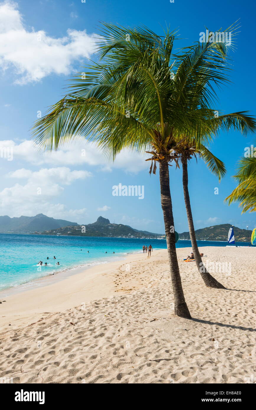 Palm Island, Grenadine, Saint Vincent e Grenadine, isole Windward, West Indies, dei Caraibi e America centrale Foto Stock