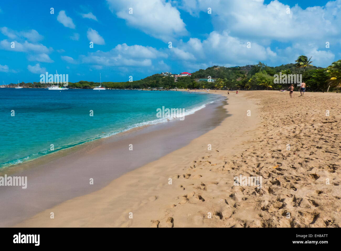 Spiaggia di sabbia di Salt Whistle Bay, Mayreau, Grenadine, isole Windward, West Indies, dei Caraibi Foto Stock