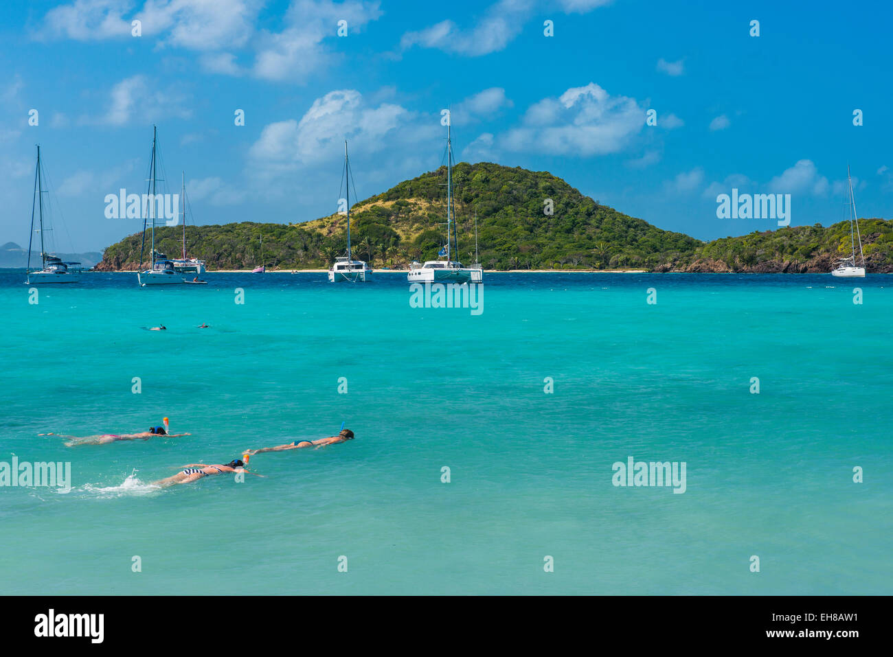 I turisti lo snorkeling in acque turchesi del Tobago Cays, Grenadine, isole Windward, West Indies, dei Caraibi Foto Stock