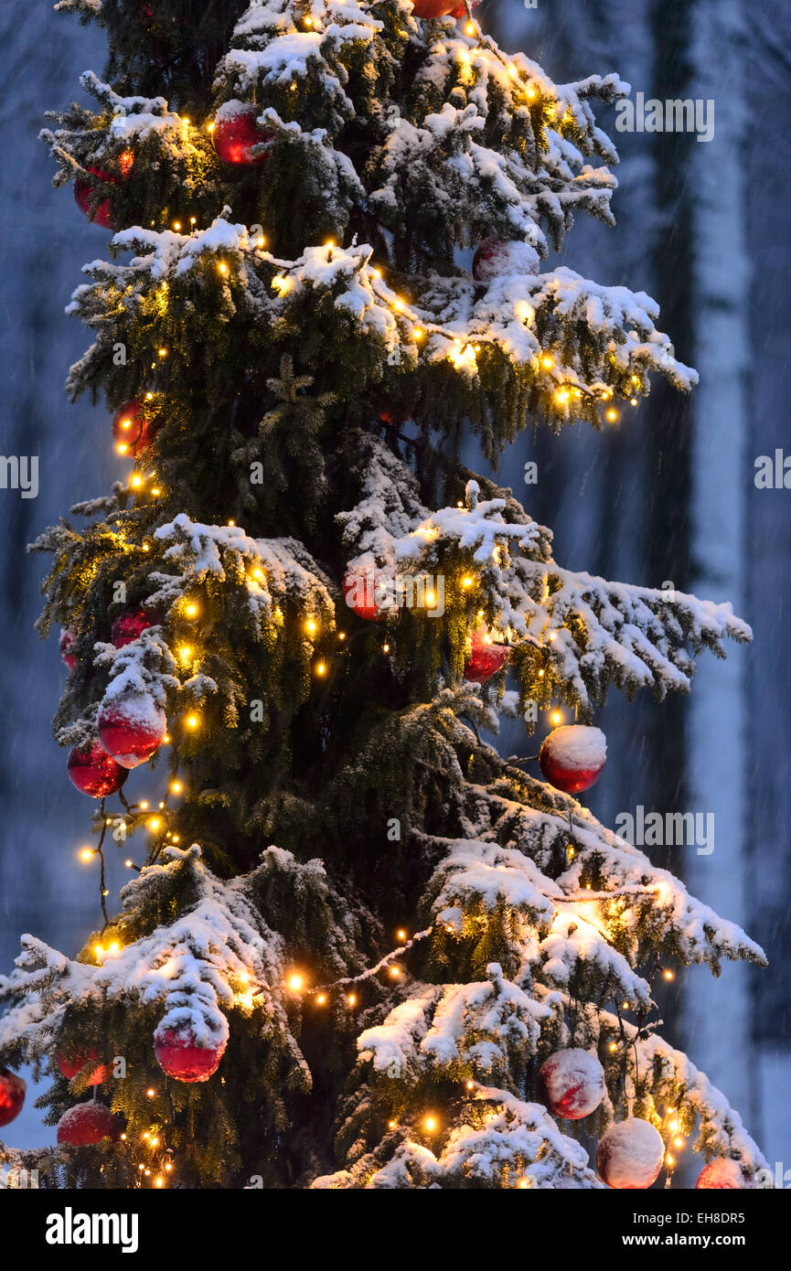 White Christmas tree con caduta di neve e luci e sfere Foto Stock White Christmas tree con caduta di neve e luci e sfere Foto Stock