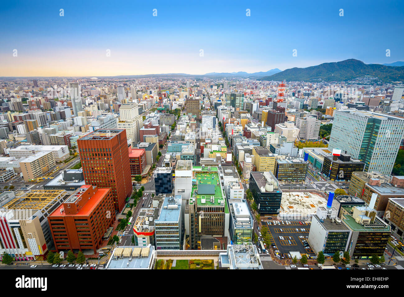Sapporo, Giappone central ward cityscape visto dal di sopra. Foto Stock