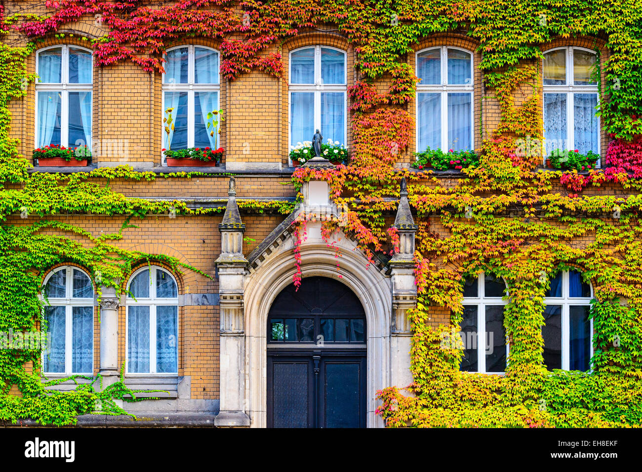 Vite coperto facciata di edificio di Berlino, Germania. Foto Stock