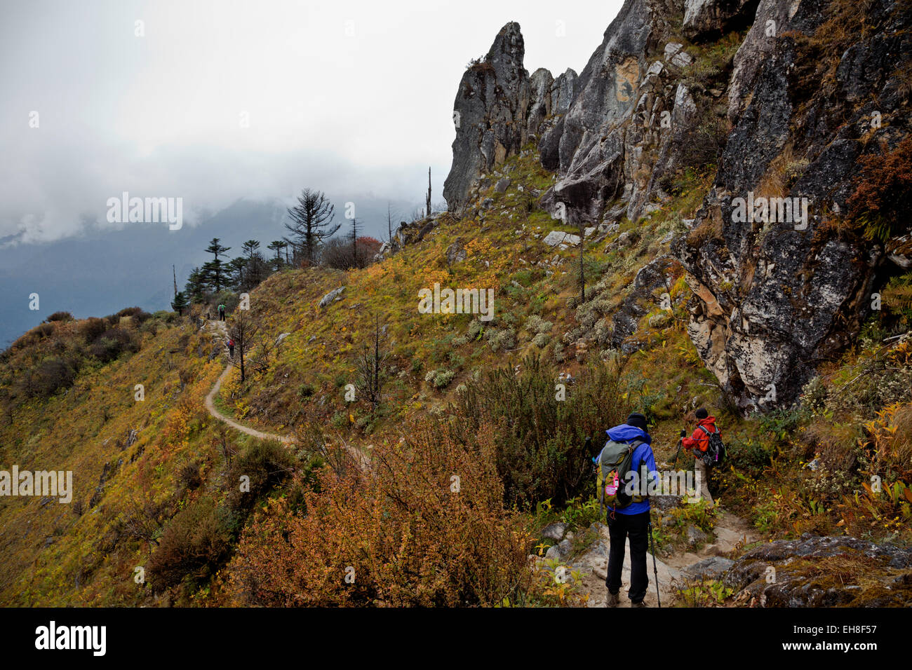 BU00294-00...BHUTAN - Trekking Scendendo il sentiero roccioso da Thombu La al Paro Chhu Valle sul Jhomolhari 2 Trek. Foto Stock