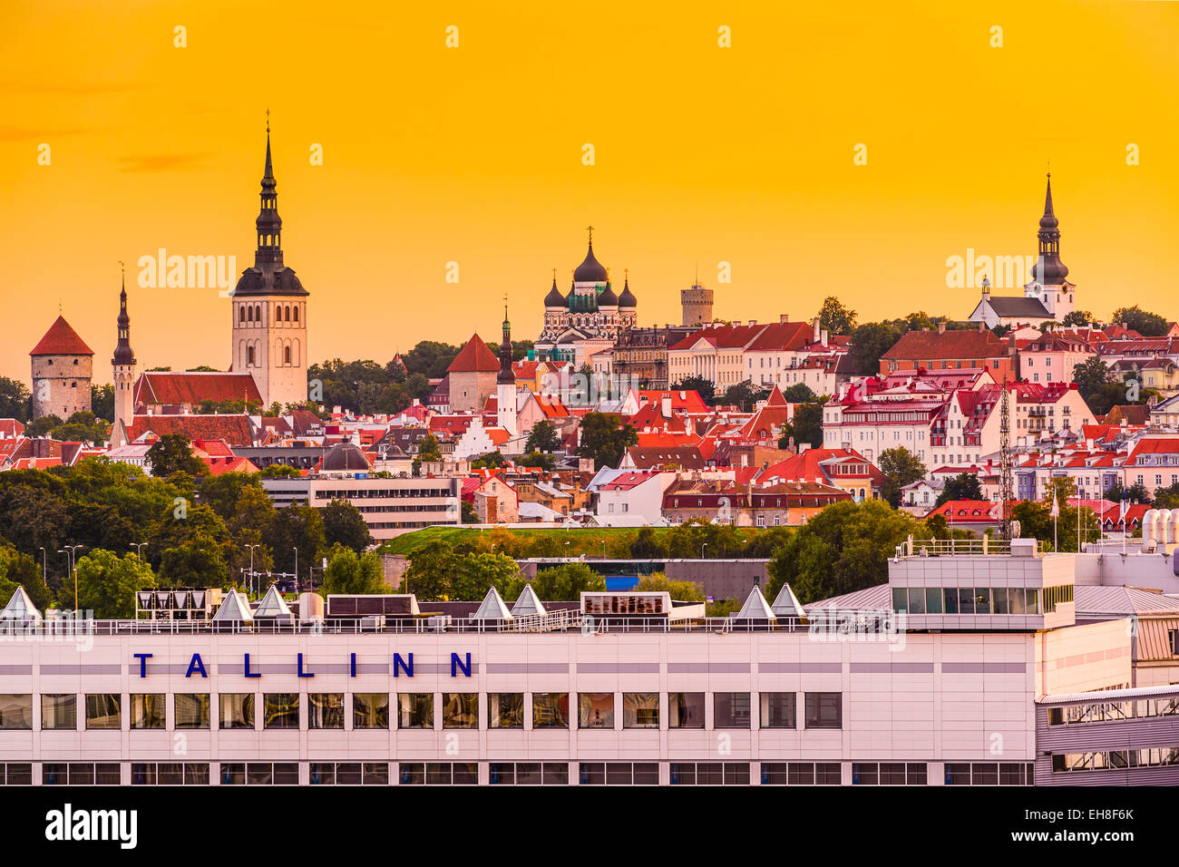 Tallinn, Estonia skyline dalla porta. Foto Stock