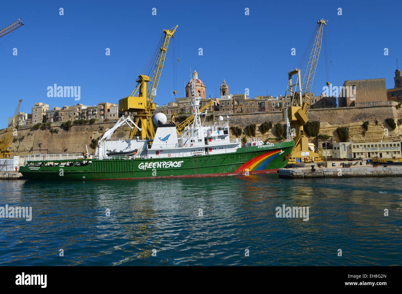 Un certo numero di shipsare legato MaltaHarbor.Qui,theGreenpeace boat si trova,meglio conosciuto per le sue battaglie di frantumazione inRussia& elsewher Foto Stock
