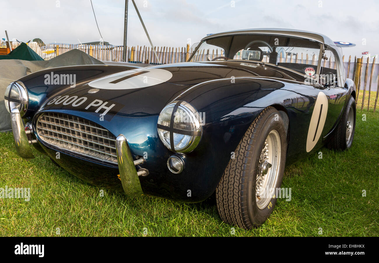 1963 AC Ace-Ford nel paddock, Fordwater trofeo Race, 2014 Goodwood, Sussex, Regno Unito. Foto Stock