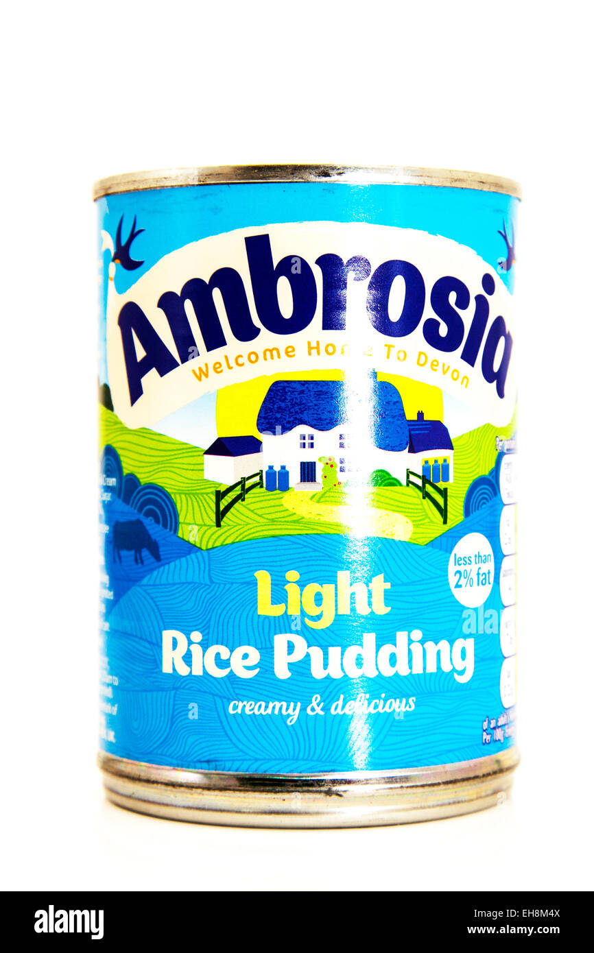 Budino di riso ambrosia crema dessert cremoso può stagno logo stagnato prodotto ritaglio sfondo bianco copia spazio isolato Foto Stock