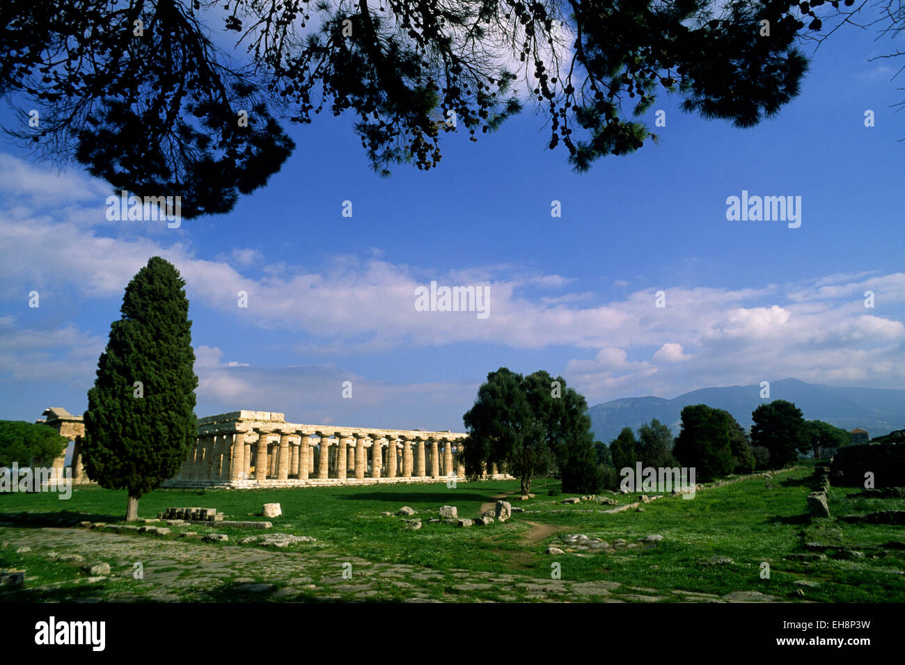 L'Italia, Campania, Paestum Foto Stock