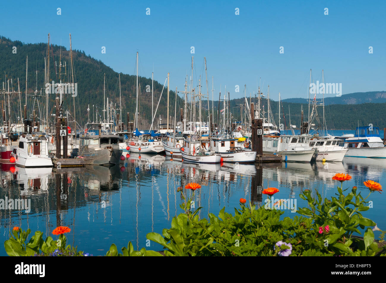 Marina, Cowichan Bay, British Columbia, Canada Foto Stock