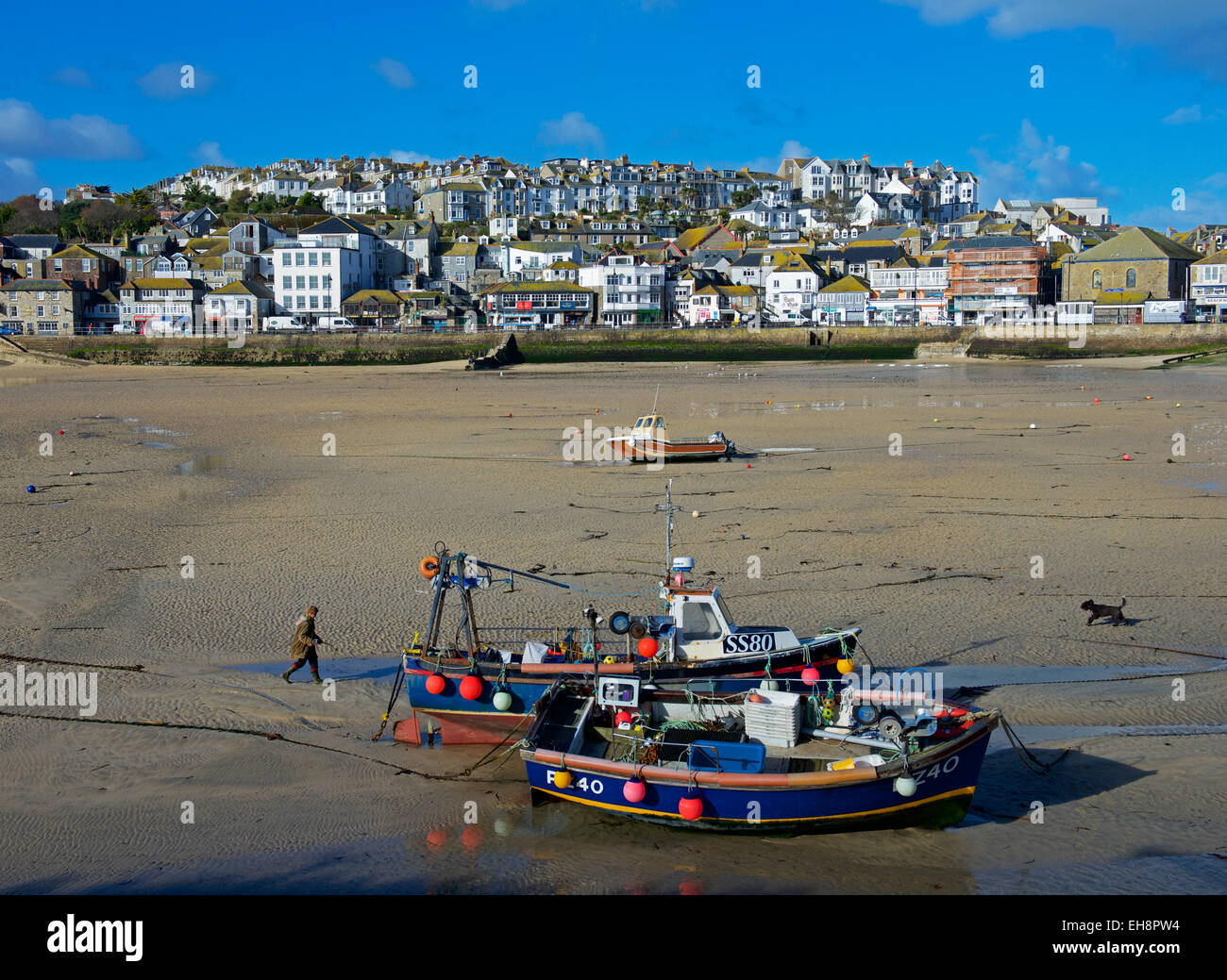 La donna e il cane a camminare sulla spiaggia, St Ives, Cornwall, England Regno Unito Foto Stock