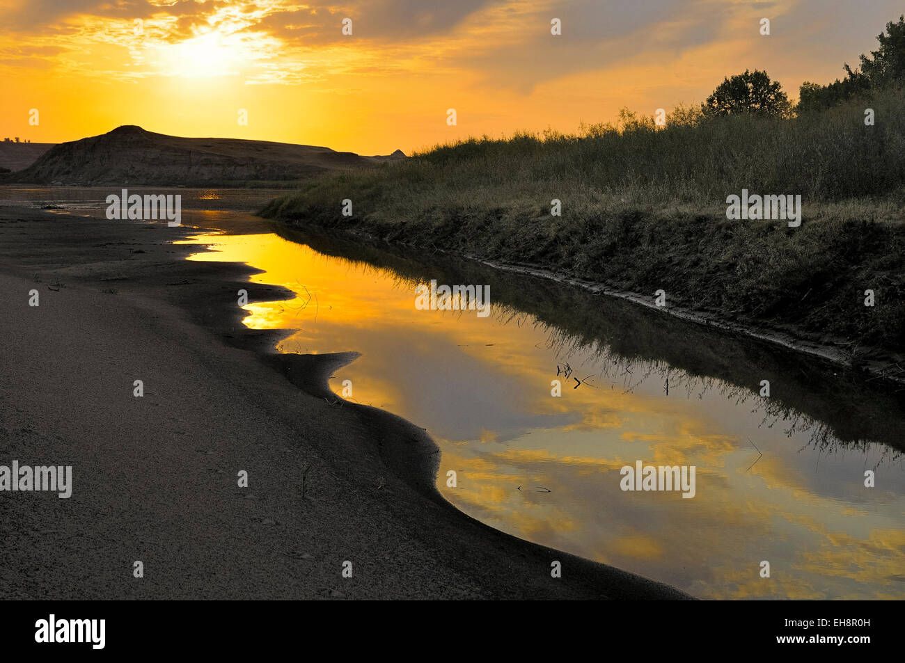 Red Deer fiume scorre attraverso il Badlands, Parco Provinciale dei Dinosauri, Alberta, Canada Foto Stock