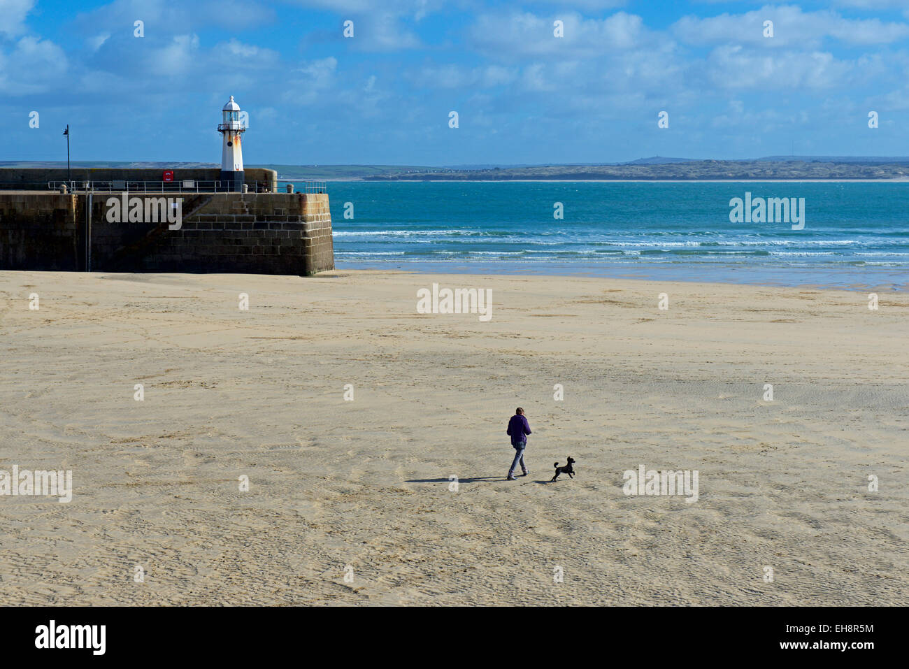 La donna e il cane a camminare sulla spiaggia, St Ives, Cornwall, England Regno Unito Foto Stock