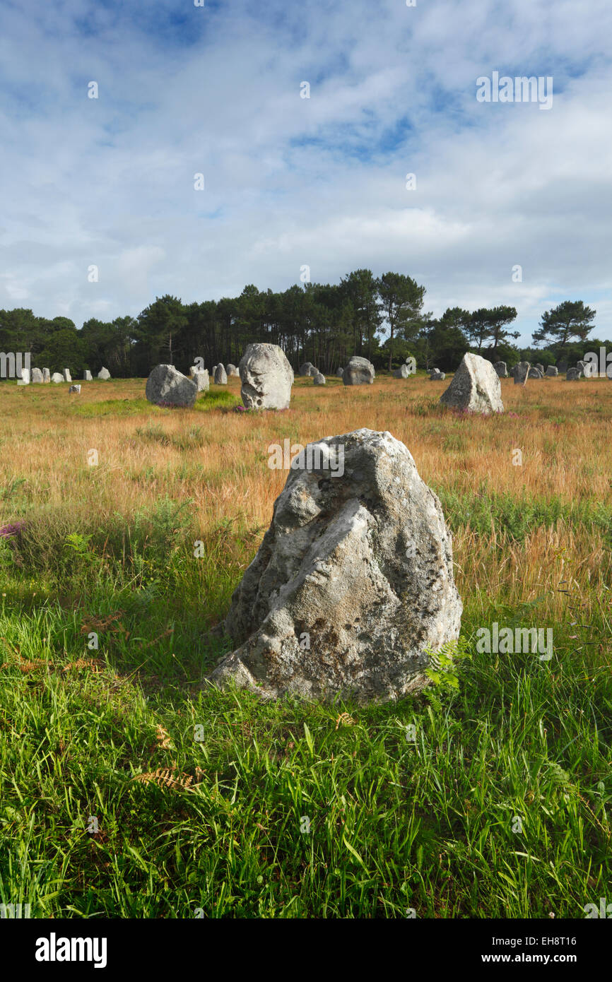 Neolitico pietre permanente. Carnac. La Bretagna. Francia Foto Stock