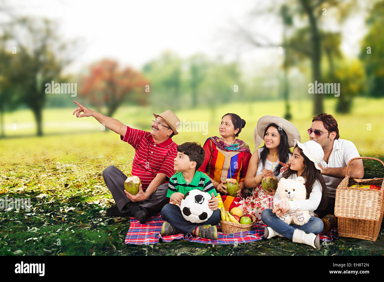 Gruppo indiano folle grand genitori park Picnic a puntare il dito che mostra Foto Stock