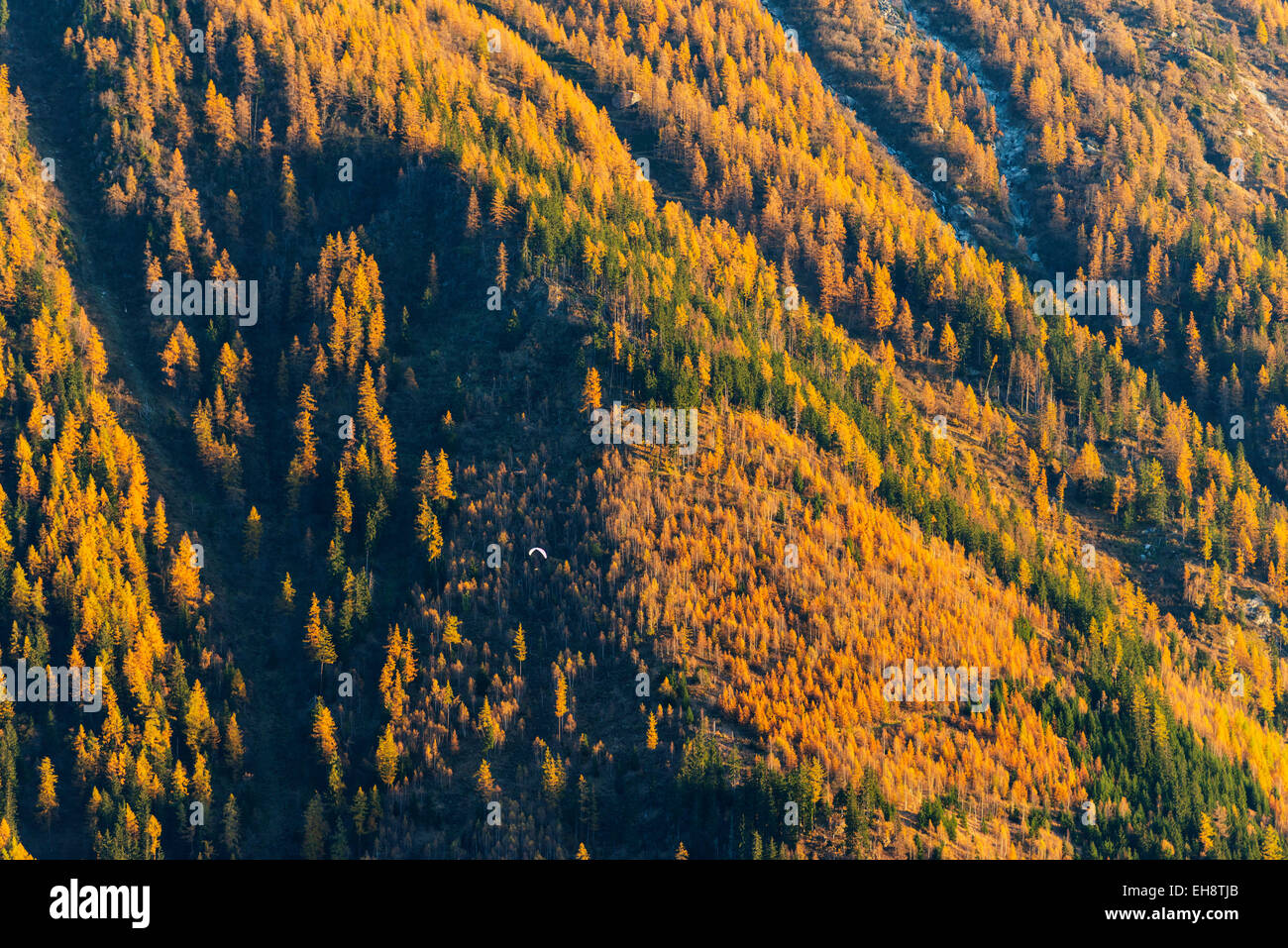 L'Europa, Francia, Haute Savoie, Rodano Alpi, la valle di Chamonix, parapendio Foto Stock