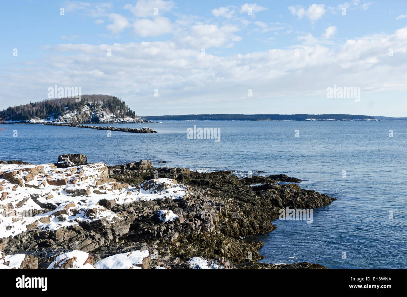 Guardando fuori a Bald Porcupine isola dalla coperta di neve Ogden Point in Bar Harbor, Maine. Foto Stock