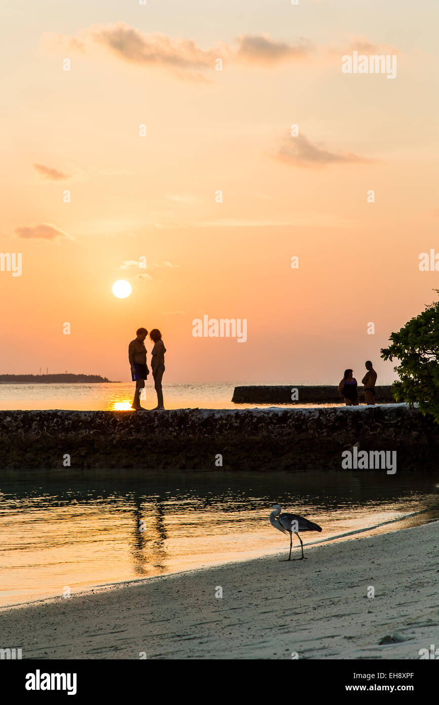 Un paio in silhouette contro il tramonto si trovava su una groyne con un airone di pesca in primo piano a Makunudu nelle Maldive Foto Stock