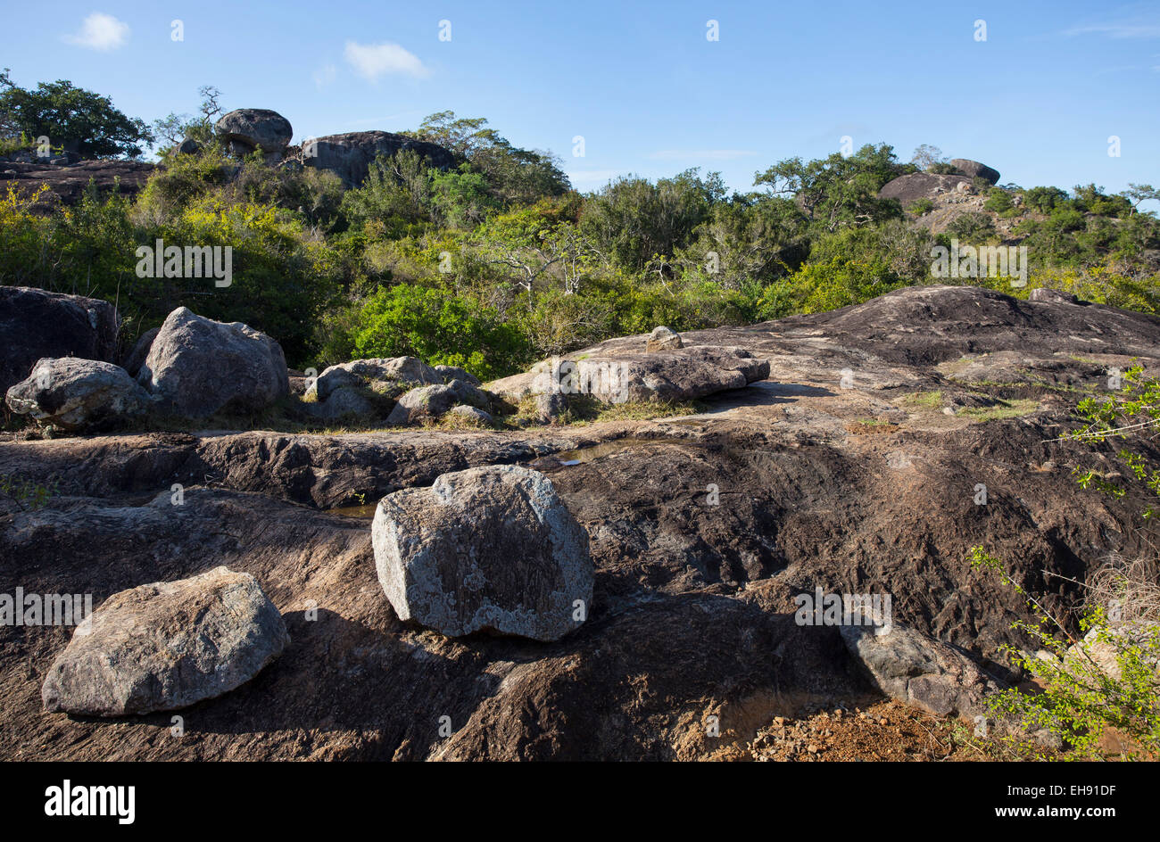 Affioramenti di rocce nel parco nazionale Yala, Sri Lanka Foto Stock