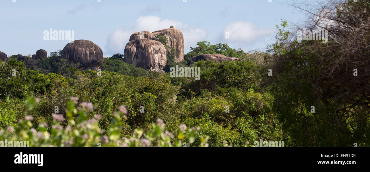 Affioramenti di rocce nel parco nazionale Yala, Sri Lanka Foto Stock