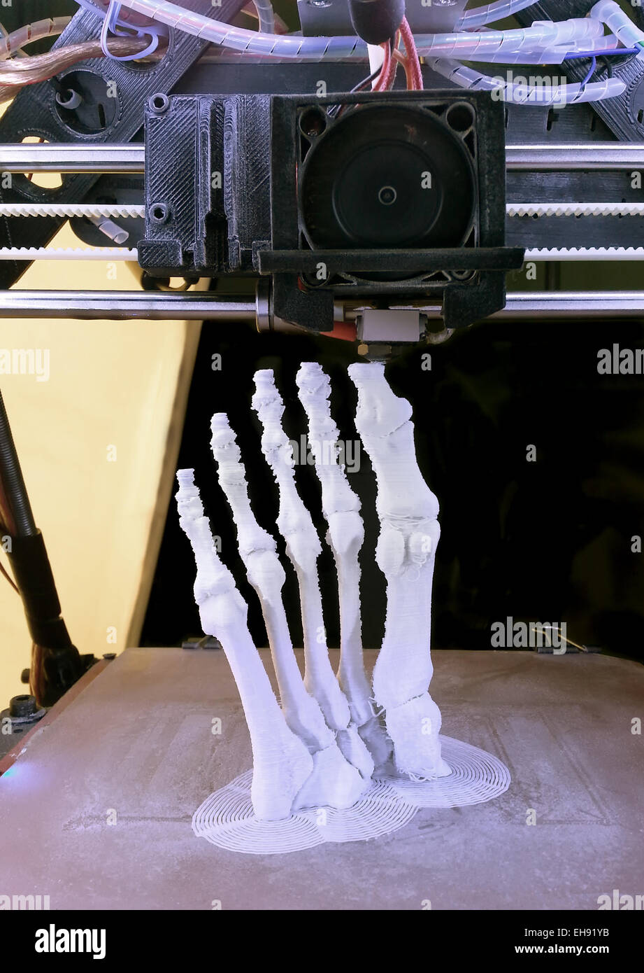 3D del modello di stampa del piede umano ossa Foto Stock