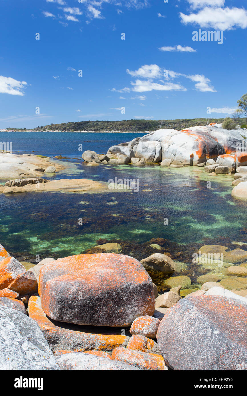 Naturale lichene arancione sulle rocce lungo la bellissima costa di Binalong Bay, Tasmania, Australia Foto Stock