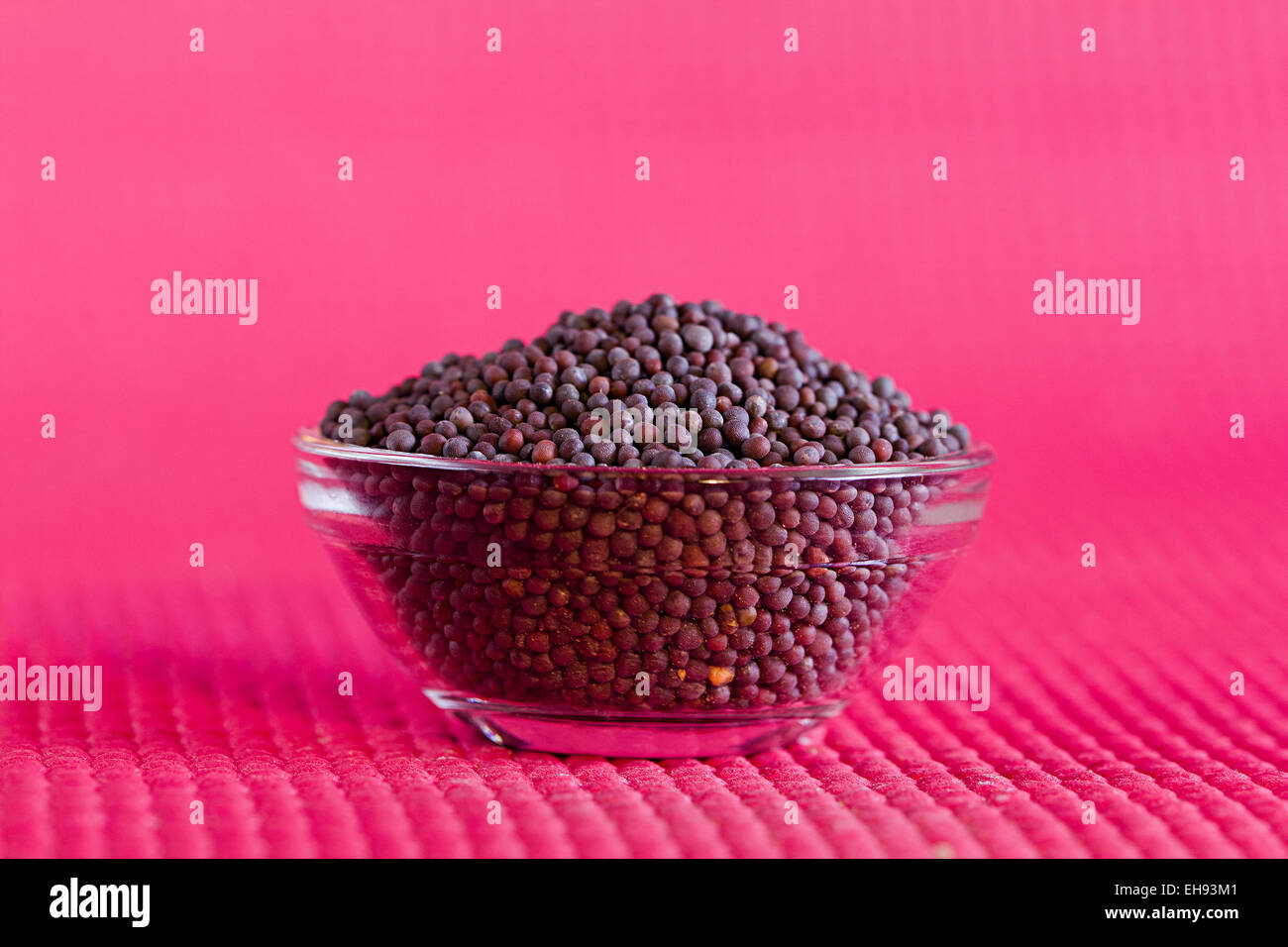 Abbondanza di seme di senape disponendo la coppa di alimentazione e nutrizione nessuno di qualità Foto Stock