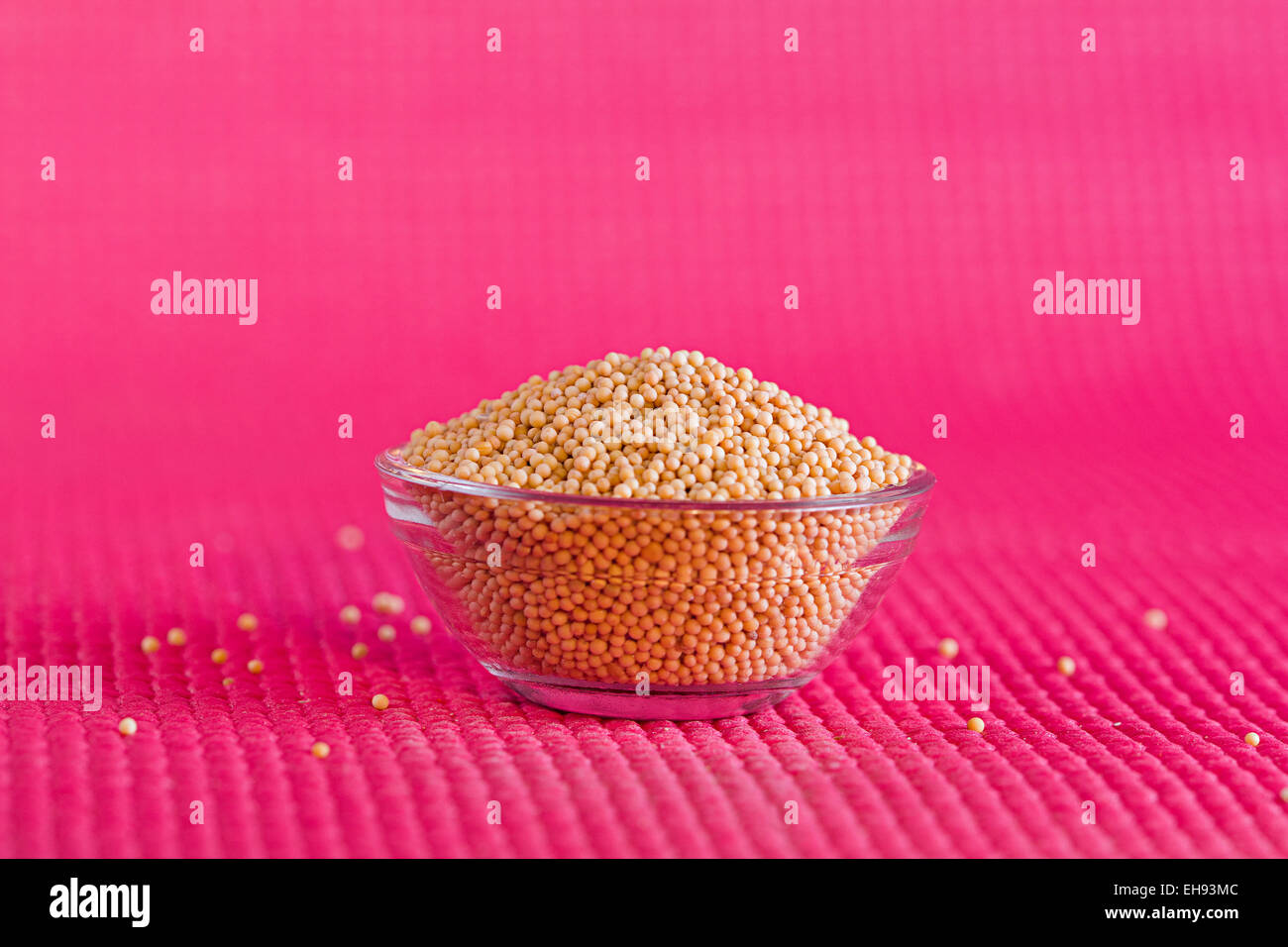 Abbondanza di seme di senape disponendo la coppa di alimentazione e nutrizione nessuno di qualità Foto Stock