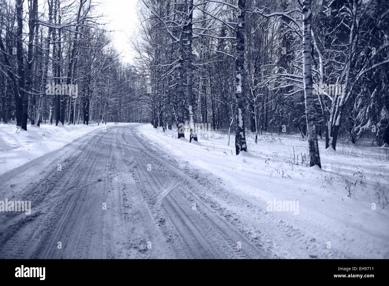 Inverno in strada innevato paesaggio forestale Foto Stock